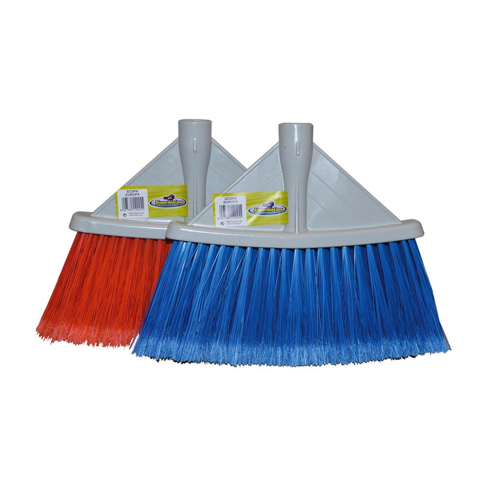 Метла Европеа